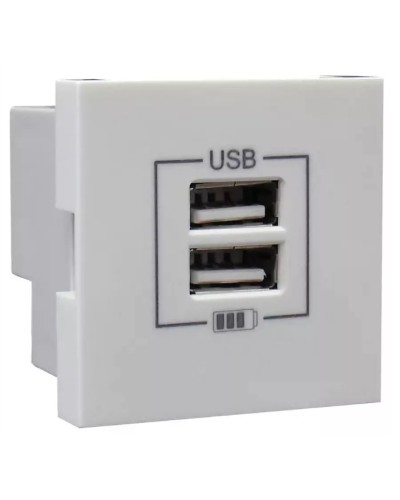 Розетка USB двойная, зарядная, белая (45439 SBR): Розетка USB двойная в Коврове