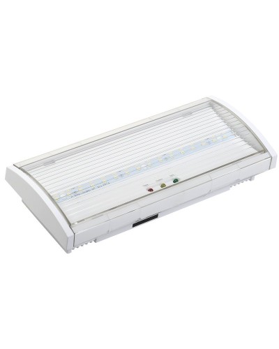 Светильник аварийный ДПА 5040-1 1ч IP54 LIGHTING (LDPA0-5040-1H-K01). Светильник аварийный постоянного действия. IEK в Коврове