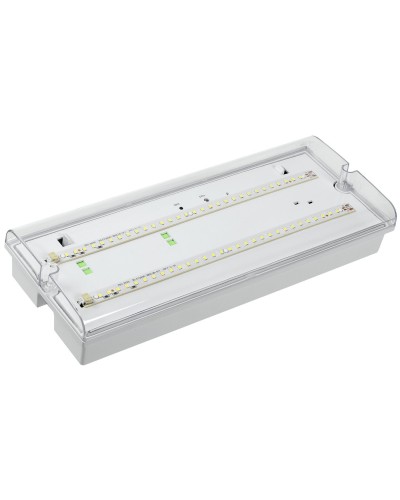 Светильник аварийный ДПА 5042-1 1ч IP65 LIGHTING (LDPA0-5042-1-65-K01). Светильник аварийный универсальный. IEK в Коврове