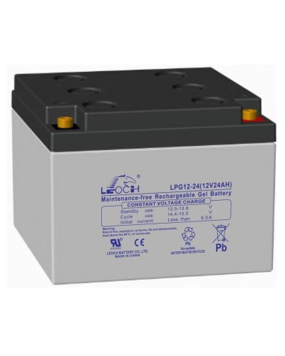 LEOCH LPG 12-24. Аккумулятор герметичный свинцово-кислотный. LEOCH в Коврове