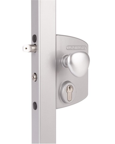 LIKQ4040 U2L (цвет: RAL 9005, черный). Замок электромеханический для калиток. Locinox в Коврове