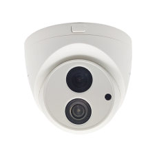 ST-171 M IP HOME (3.6) (версия 3). Видеокамера IP купольная. Space Technology