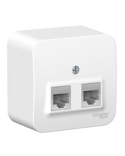 BLANCA розетка RJ11+RJ45, 2-местная, кат. 5Е, открытой установки, белый (BLNIA045111). Розетка компьютерная + телефонная с изолированной пластиной. Systeme Electric в Коврове