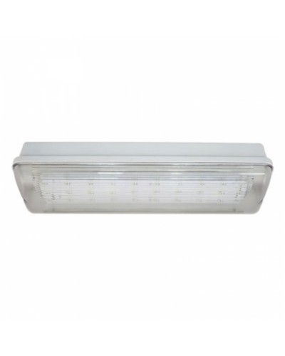 SL-223-30LED1.8 исп.1 IP54. Светильник аварийного освещения. ИП Раченков А.В. в Коврове