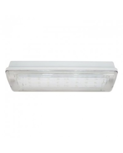 SL-223-30LED1.8 исп. 1, IP65. Светильник аварийного освещения. ИП Раченков А.В. в Коврове