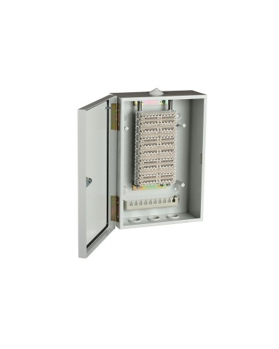 ШРН-В/100-Р (120908-00122). Шкаф ШРН-В/100-Р, плинт ПВТ-10Р-5е. ССД (Связьстройдеталь) в Коврове